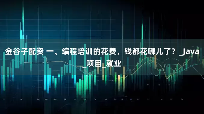 金谷子配资 一、编程培训的花费，钱都花哪儿了？_Java_项目_就业