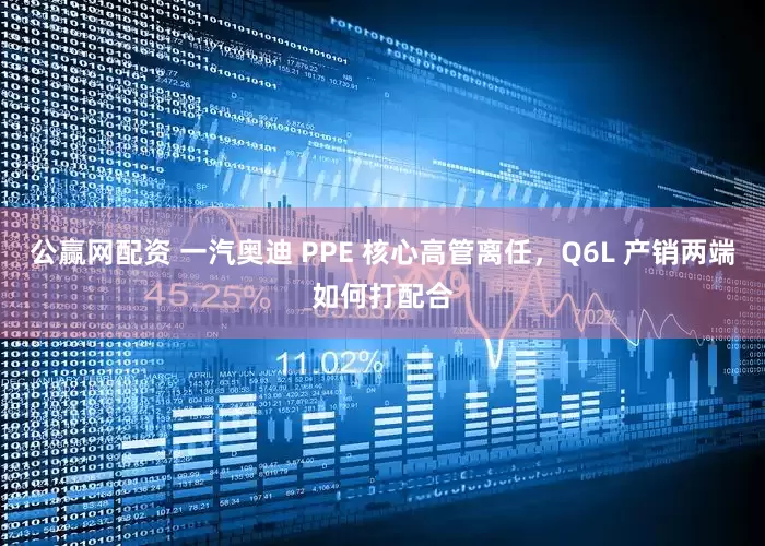 公赢网配资 一汽奥迪 PPE 核心高管离任，Q6L 产销两端如何打配合